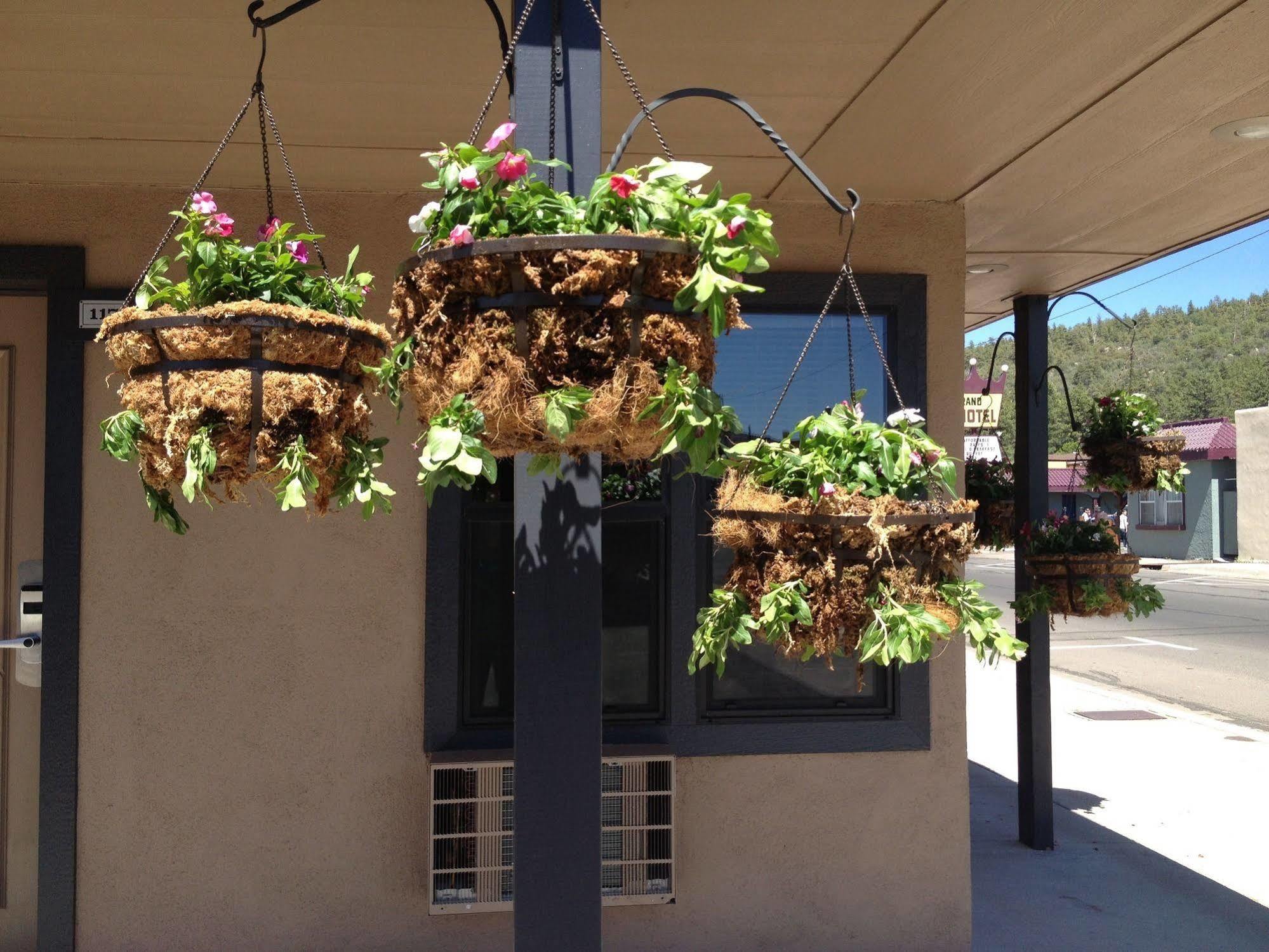Rodeway Inn & Suites Williams Downtowner-Rte 66 Exteriör bild